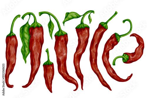 A set of ripe vegetables, red hot chili peppers. Vector graphics.