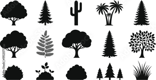 Tree and plant silhouettes vector illustration, cactus palm conifer deciduous ferns shrubs grasses, decorative black and white botanical landscape artwork design