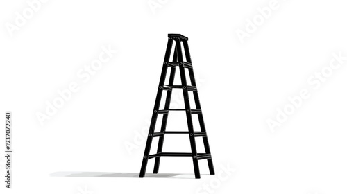 A tall, tapering black ladder stands upright with a shadow on a white background