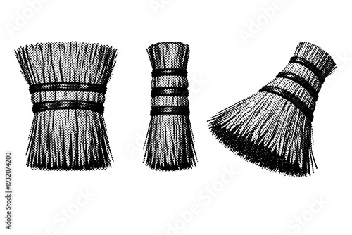 Broom straw head A realistic traditional straw broom head with tightly bound bristles shown in three views: front view, side thickness view, and angled