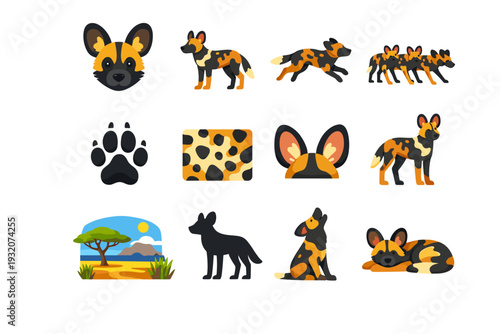 WildDogs. Colorful flat vector icons set of WildDogs: wild dog face, african wild dog, running wild dog, hunting pack, wild dog paw, spotted fur pattern, alert