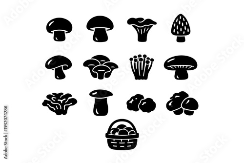 Edible Mushrooms. Solid icon set of Edible Mushrooms: button mushroom, porcini mushroom, chanterelle mushroom, morel mushroom, shiitake mushroom, oyster