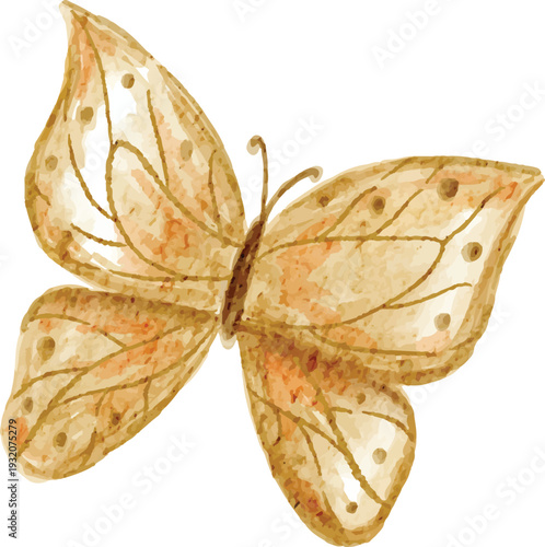 children's style watercolor butterfly hand drawn illustration