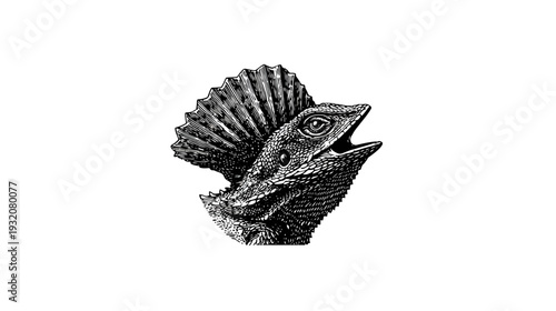 Intricate, detailed black and white illustration of a frilled lizard's head, open mouth, and eye