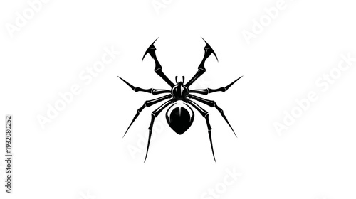 A stark, black spider illustration against a pure white backdrop. The spider has sharp legs and fangs