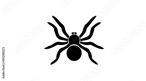 A simple, black graphic illustration of a spider with eight legs, a round body, and a smaller head