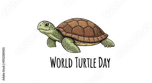 Illustration of a Turtle for World Turtle Day.