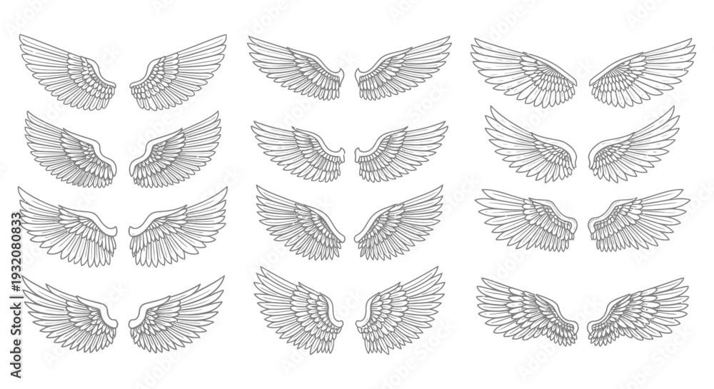 Fototapeta premium collection of vector wing designs depicting feathered angel and bird wings ideal for graphic resources logos or tattoo concepts.