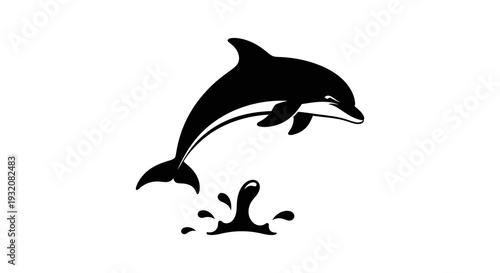 A sleek black dolphin leaps from the water with a splash