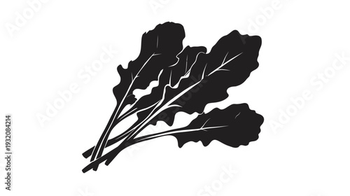 A black and white illustration of leafy greens, possibly arugula, with white veins and stems