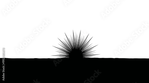 Stylized black abstract shape with spiky radiating lines on a white background
