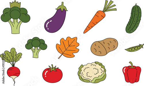 Fresh Vegetable Icon Set with Broccoli Eggplant Carrot Cucumber Potato Tomato Cauliflower and Pepper for Healthy Organic Food Design.