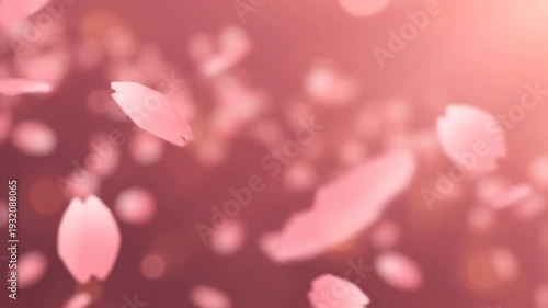 Graceful Cherry Blossom Petals Falling Gently in a Dreamy Pink Haze.