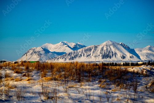 Panoramic view of majestic snow-capped mountain range under a clear blue sky during a bright winter day with a dry grass field in the foreground.