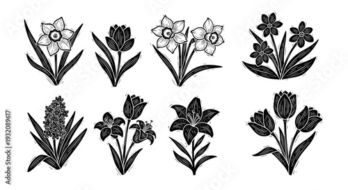 Collection of various detailed floral illustrations in black and white