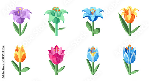 Collection of colorful iris flowers in various vibrant shades