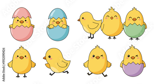 Cute baby chicks hatching from eggs and standing
