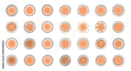Set of 30 orange and beige circular patterns with various designs