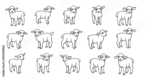 Collection of handdrawn sheep illustrations in a simple style