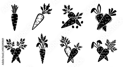 Collection of fresh carrots with leafy greens in various angles