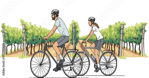 Cyclists, vineyard, outdoor activity, healthy lifestyle, nature, scenic ride, grapevines, summer, fitness, countryside, helmets, leisure, agriculture, biking, rural path, green foliage,