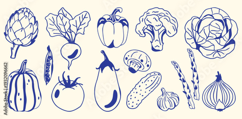 Set of fresh vegetables in hand drawn line style. Food collection - eggplant, broccoli, cucumber, cornichon, cabbage, asparagus, onion, tomato and other organic farm vegetables. Healthy food 