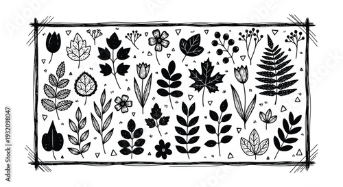 Botanical illustration featuring a variety of hand drawn leaves and floral elements
