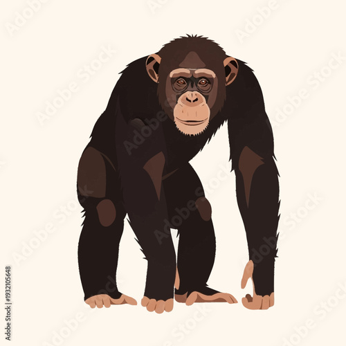 Illustration of a chimpanzee standing on all fours with a neutral expression.