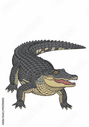 Illustration of an alligator with open mouth and sharp teeth.
