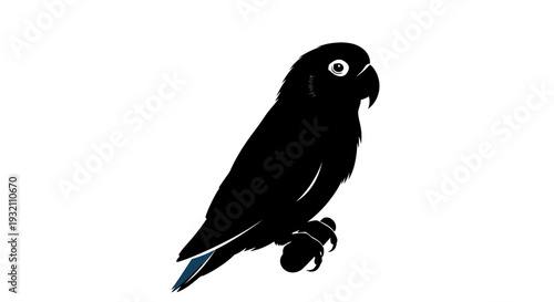 Affectionate Lovebird Silhouette Perched with Distinctive Head Tilt
