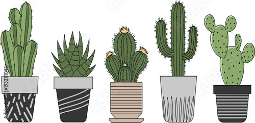 Collection of Green Cactus and Succulent Plants in Modern Decorative Pots Isolated on White Background for Home Decor, Botanical Design, and Interior Illustration