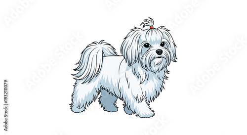 Elegant Flowing Maltese Silhouette with Characteristic Wispy Hair