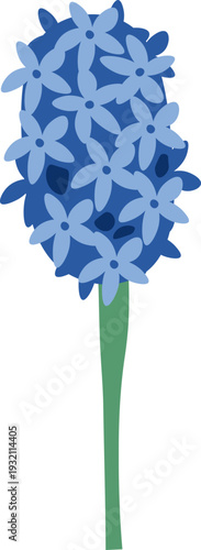 Hyacinth Bloom Stem