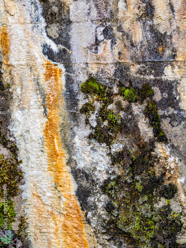 Fototapeta premium Feuchtigkeit und Schimmel an einer Brücke