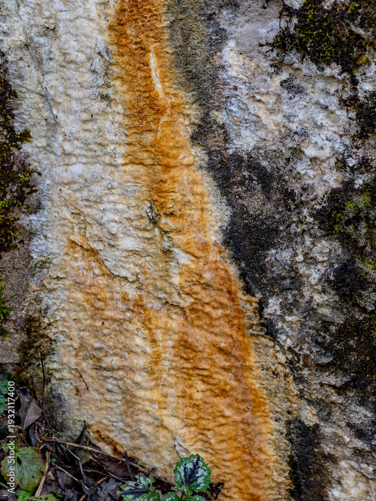 Fototapeta premium Feuchtigkeit und Schimmel an einer Brücke