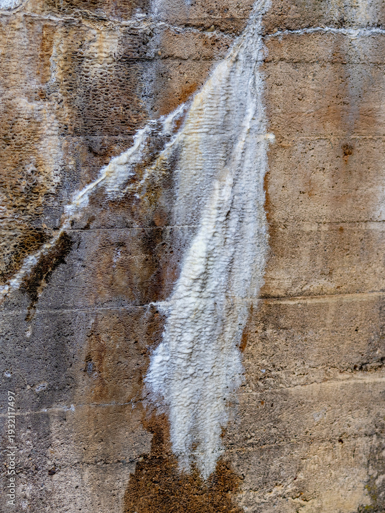 Fototapeta premium Feuchtigkeit und Schimmel an einer Brücke