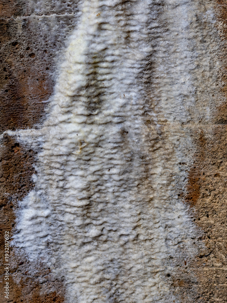 Fototapeta premium Feuchtigkeit und Schimmel an einer Brücke