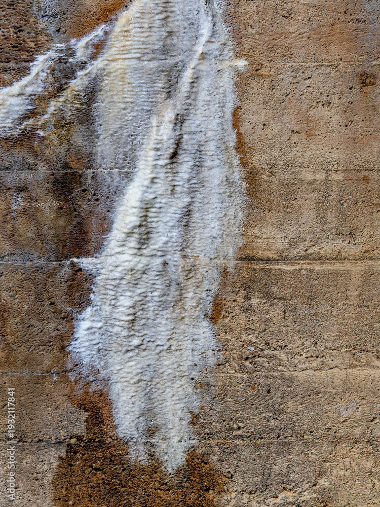 Fototapeta premium Feuchtigkeit und Schimmel an einer Brücke