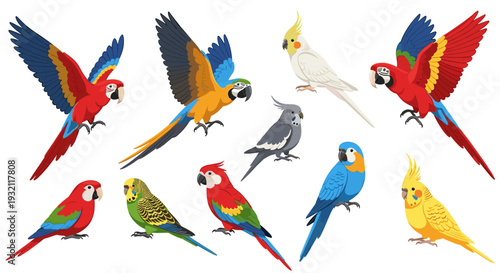 A vibrant collection of ten cartoon-style parrots and cockatiels are displayed in various poses against a clean white background.