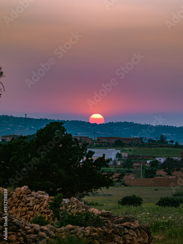 Fotografie hot air balloon