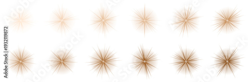 Golden Celestial Sunburst Icons for Luxury Branding and Mystical Astrology Designs