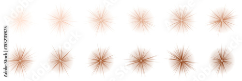 Set of copper metallic starburst icons for luxury branding and celestial design
