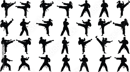 Black Silhouette Set of Male and Female Karate Fighters Performing Powerful Kicks Punches and Martial Arts Poses Isolated on White Background
