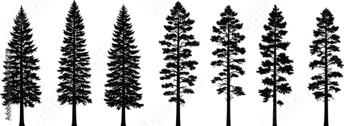 Black pine tree silhouette vector set, cad drawing flat vector illustration, evergreen conifer nature icons, forest spruce graphics isolated on white.