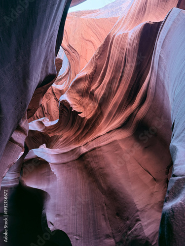 Canvastavla Lower Antelope Canyon in Arizona featuring narrow, winding sandstone passageways with smooth, wave-like rock formations illuminated by soft natural light from above