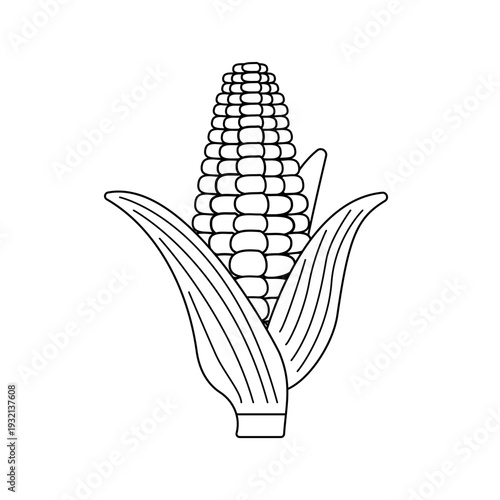 皮付きトウモロコシのモノクロ線画イラスト | 塗り絵や図解用素材
