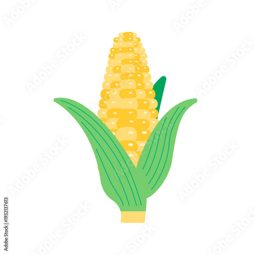 フラットデザインで描かれた皮付きトウモロコシ | 主線なしのモダンなイラスト