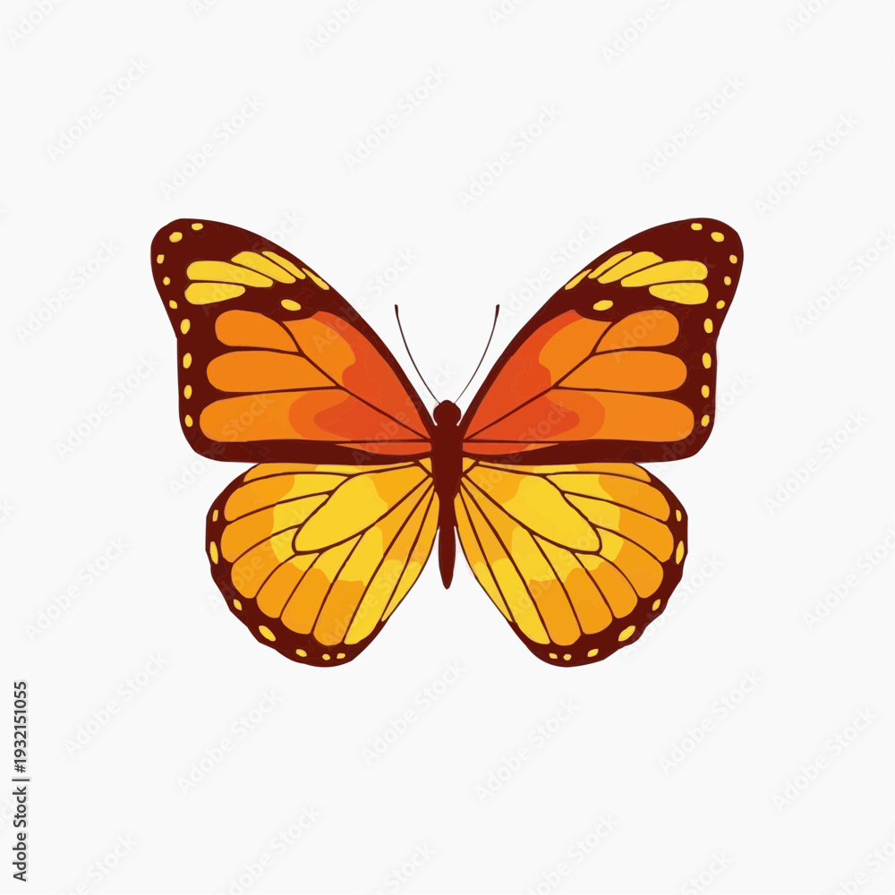 Fototapeta premium Monarch butterfly with orange and yellow wings on a white background