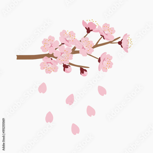 Delicate pink cherry blossom branch with falling petals, symbolizing spring, beauty, and renewal.