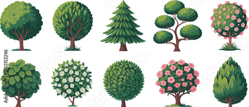 Cartoon trees and flowering shrubs vector illustration, decorative garden and park plants isolated landscape design set
